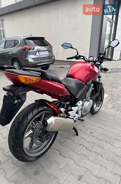 Мотоцикл Без обтекателей (Naked bike) Honda CBF 500 2005 в 