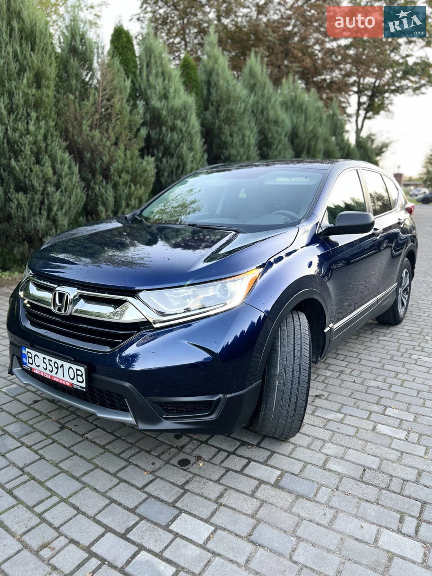 2019 Honda CR-V - фото 1