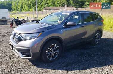 Внедорожник / Кроссовер Honda CR-V 2021 в 