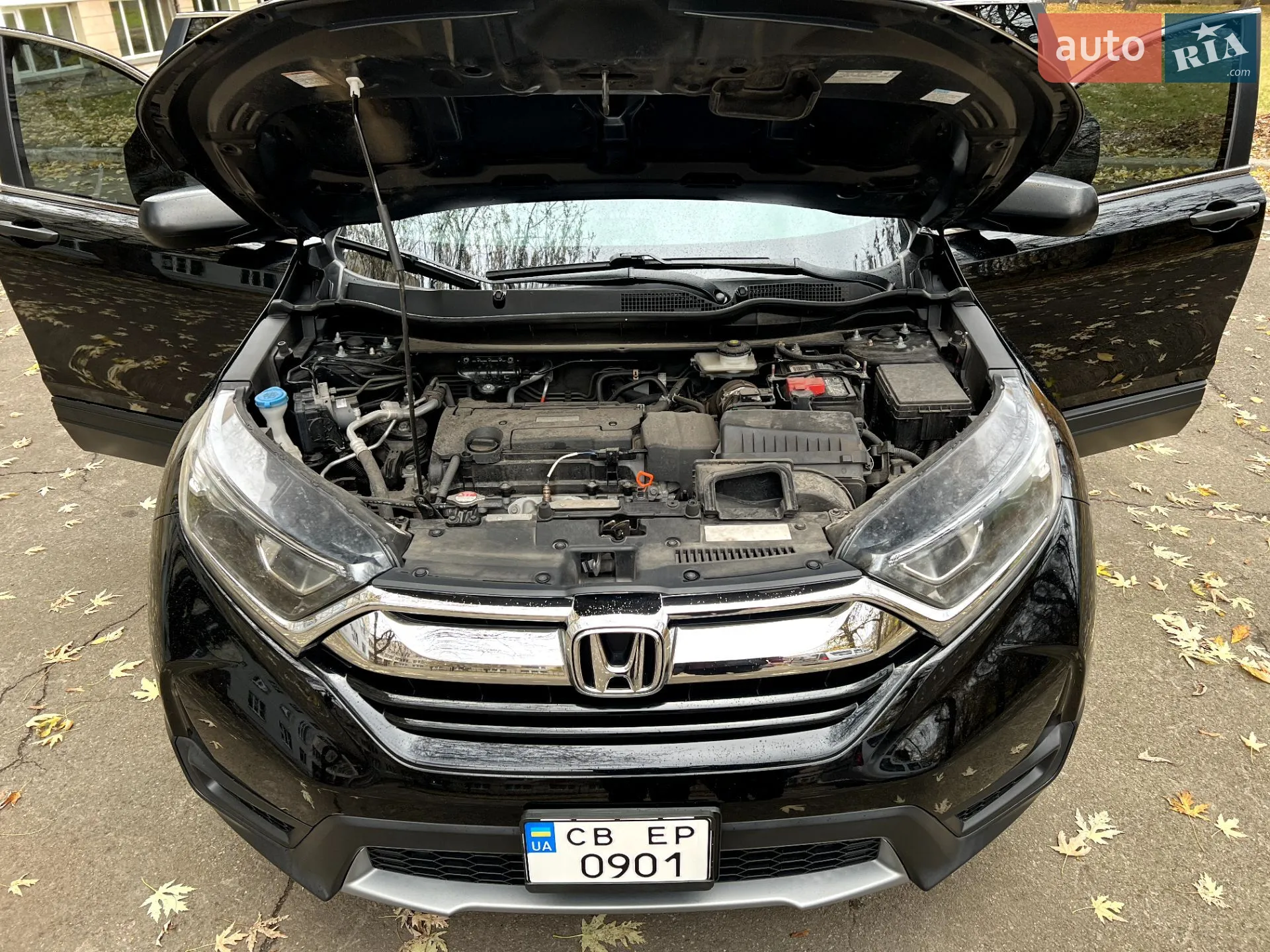 2019 Honda CR-V - мініатюра 7