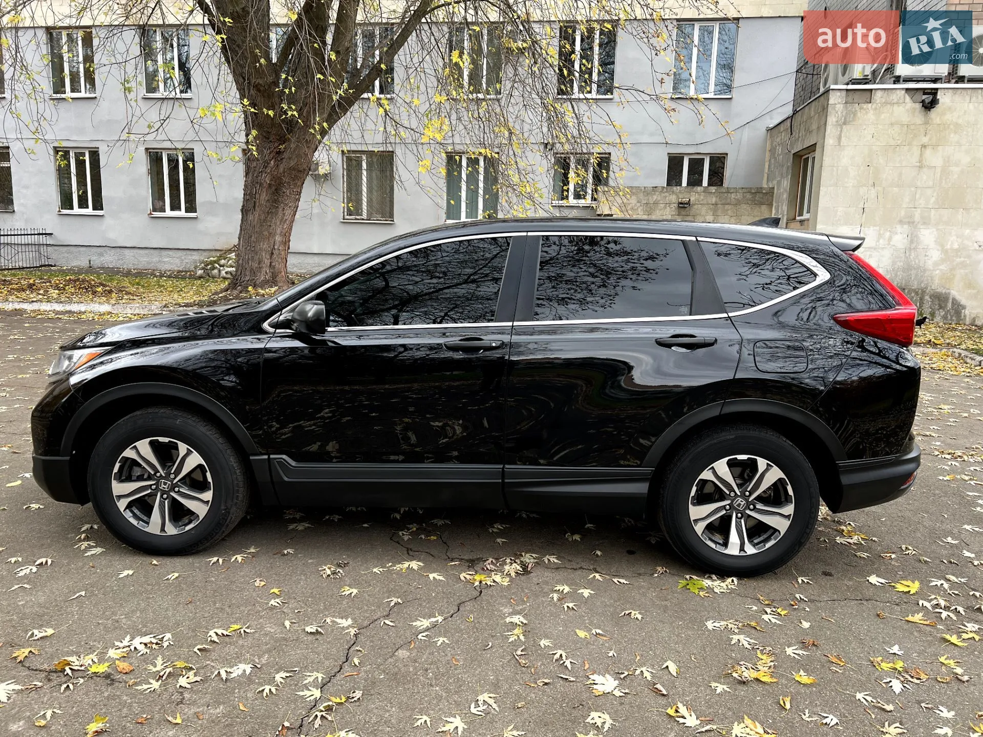 2019 Honda CR-V - мініатюра 9