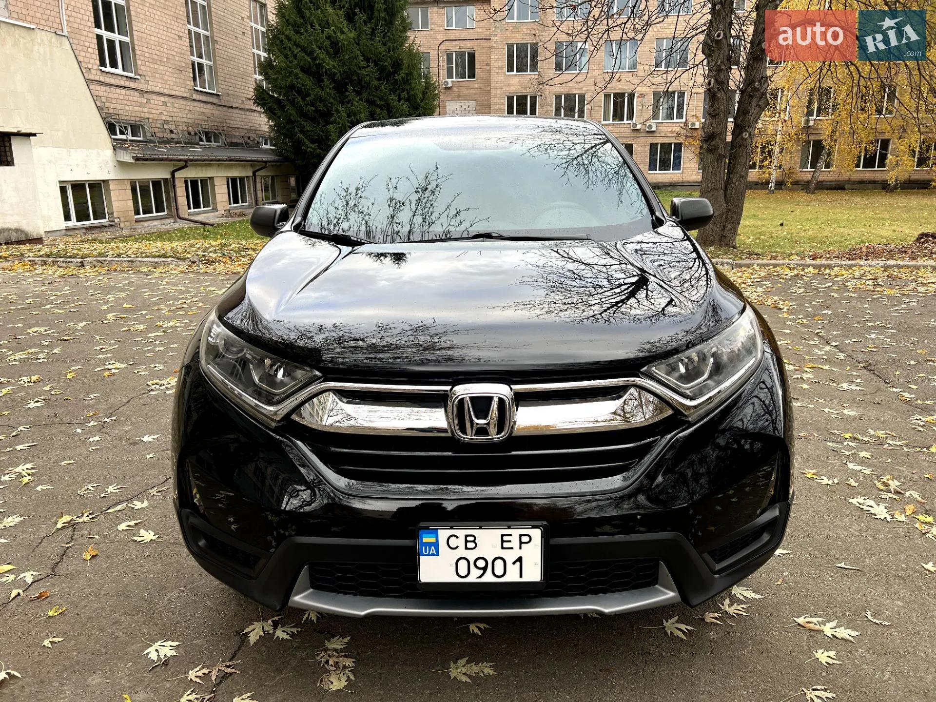 2019 Honda CR-V - фото 1