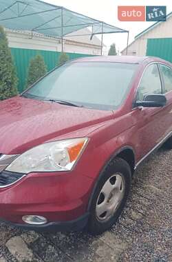 Внедорожник / Кроссовер Honda CR-V 2010 в Машевке