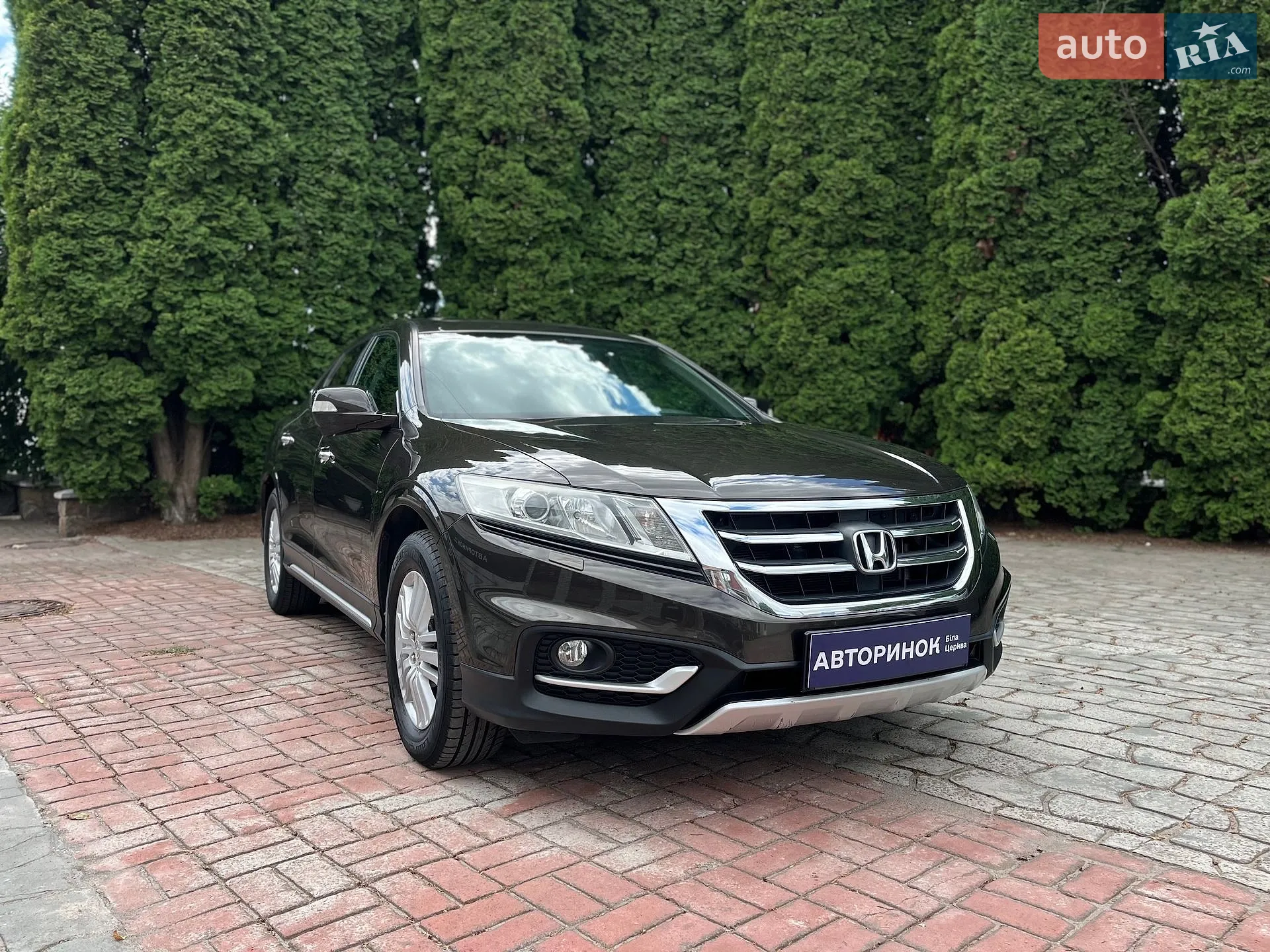 2013 Honda Crosstour - фото 1