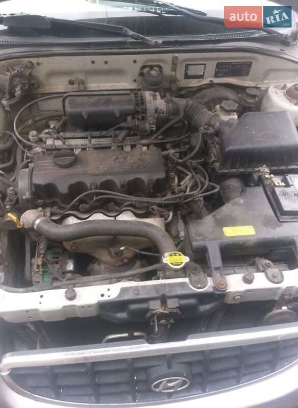 Седан Hyundai Accent 2002 в Шептицькому фото 11 Седан Hyundai Accent 2002 в Шептицькому