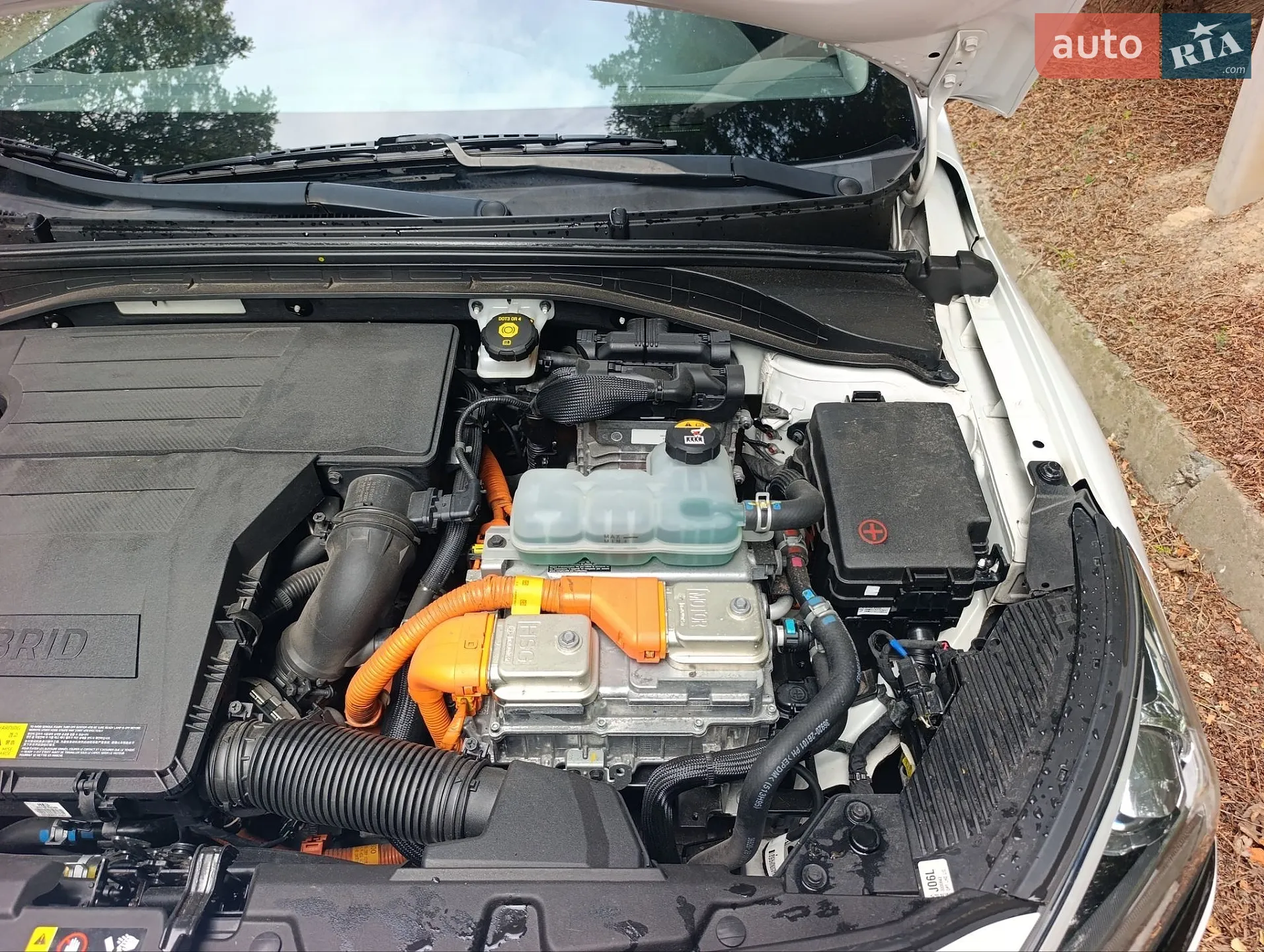 2019 Hyundai IONIQ - мініатюра 16