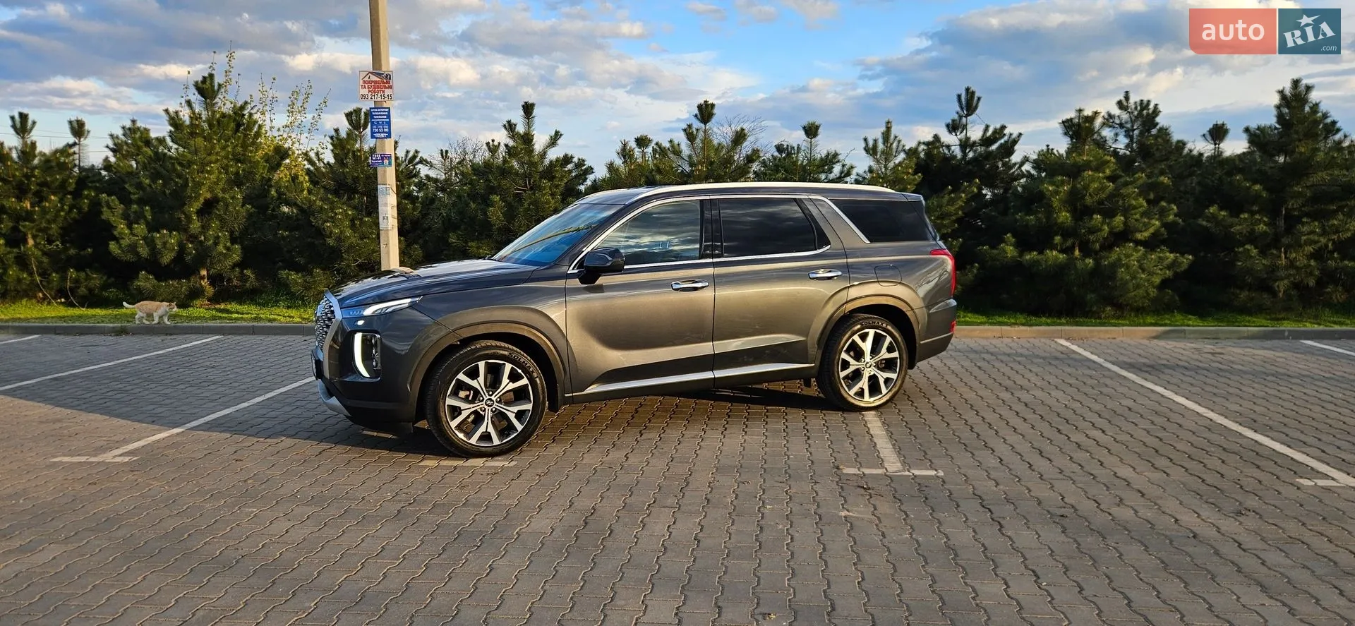 2020 Hyundai Palisade - мініатюра 2