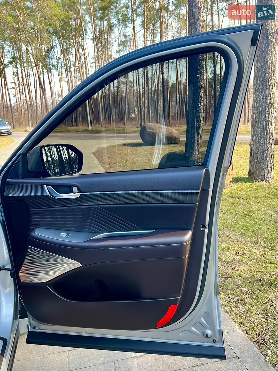 2022 Hyundai Palisade - мініатюра 40