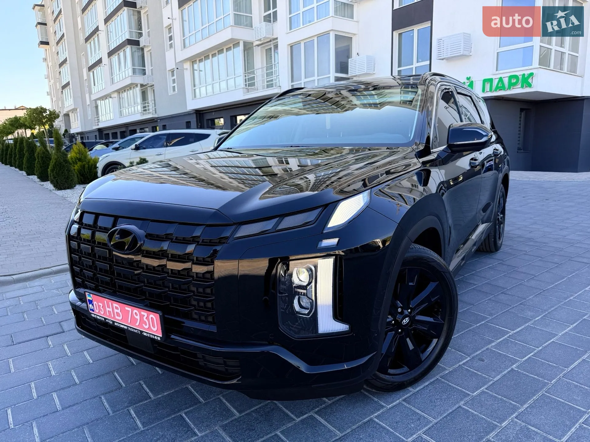 2025 Hyundai Palisade - мініатюра 13