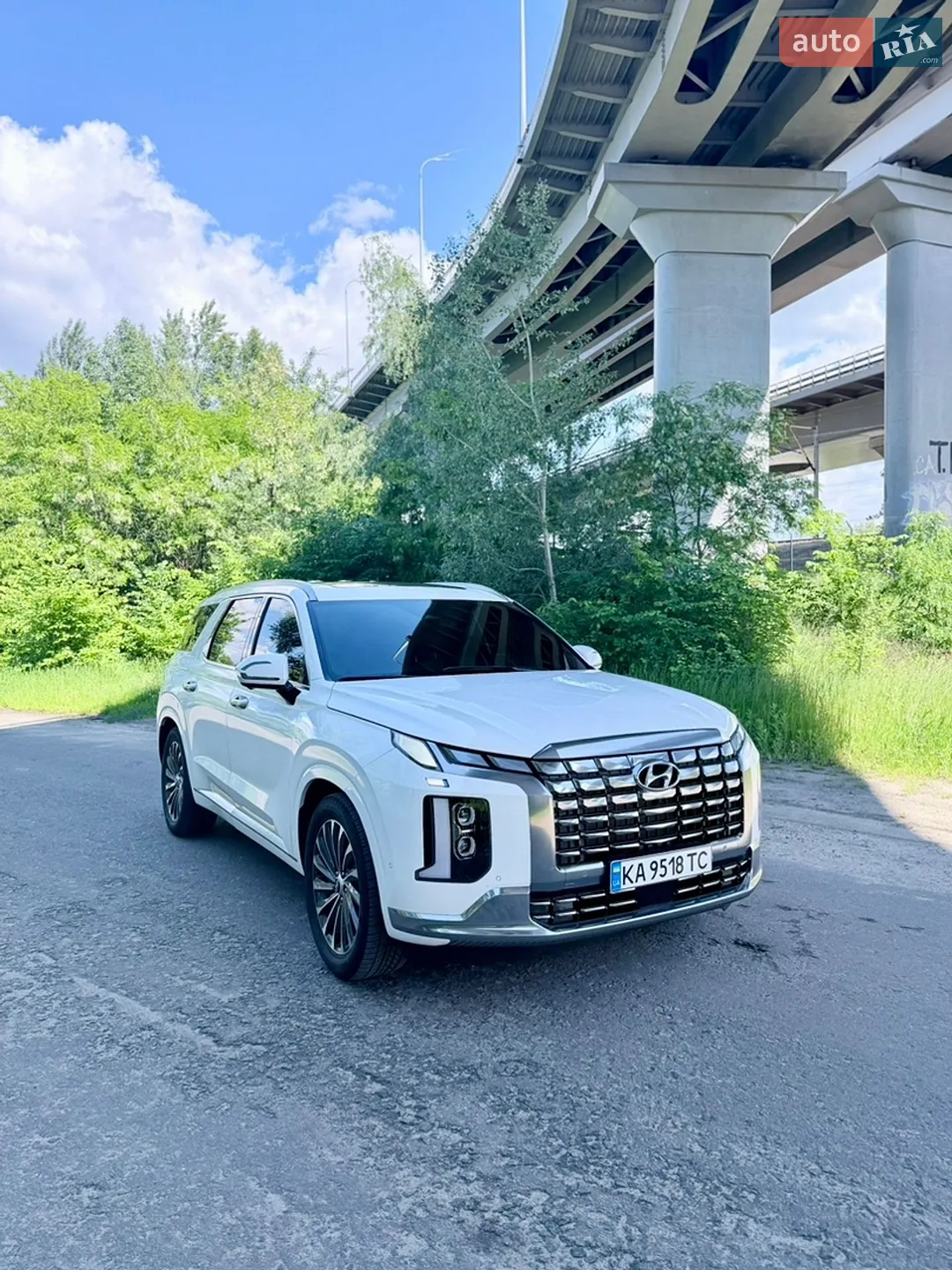 2024 Hyundai Palisade - мініатюра 7
