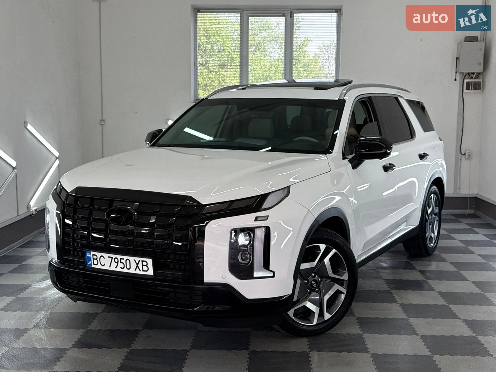 2023 Hyundai Palisade - мініатюра 8