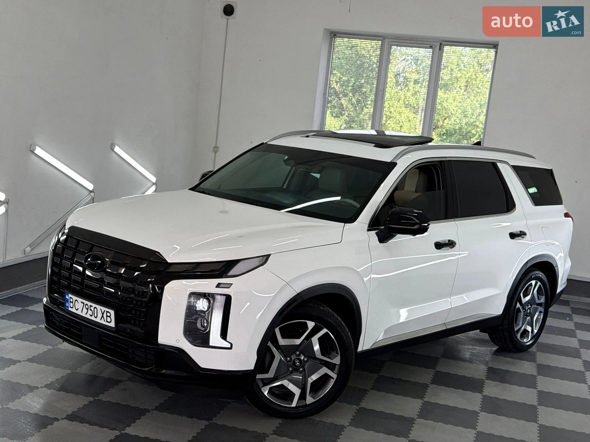 2023 Hyundai Palisade - мініатюра 15