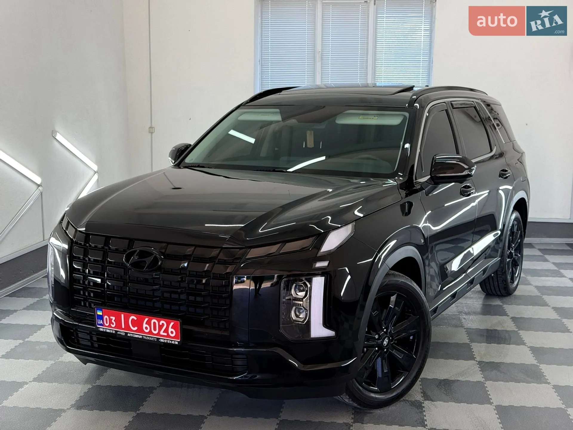 2025 Hyundai Palisade - мініатюра 71