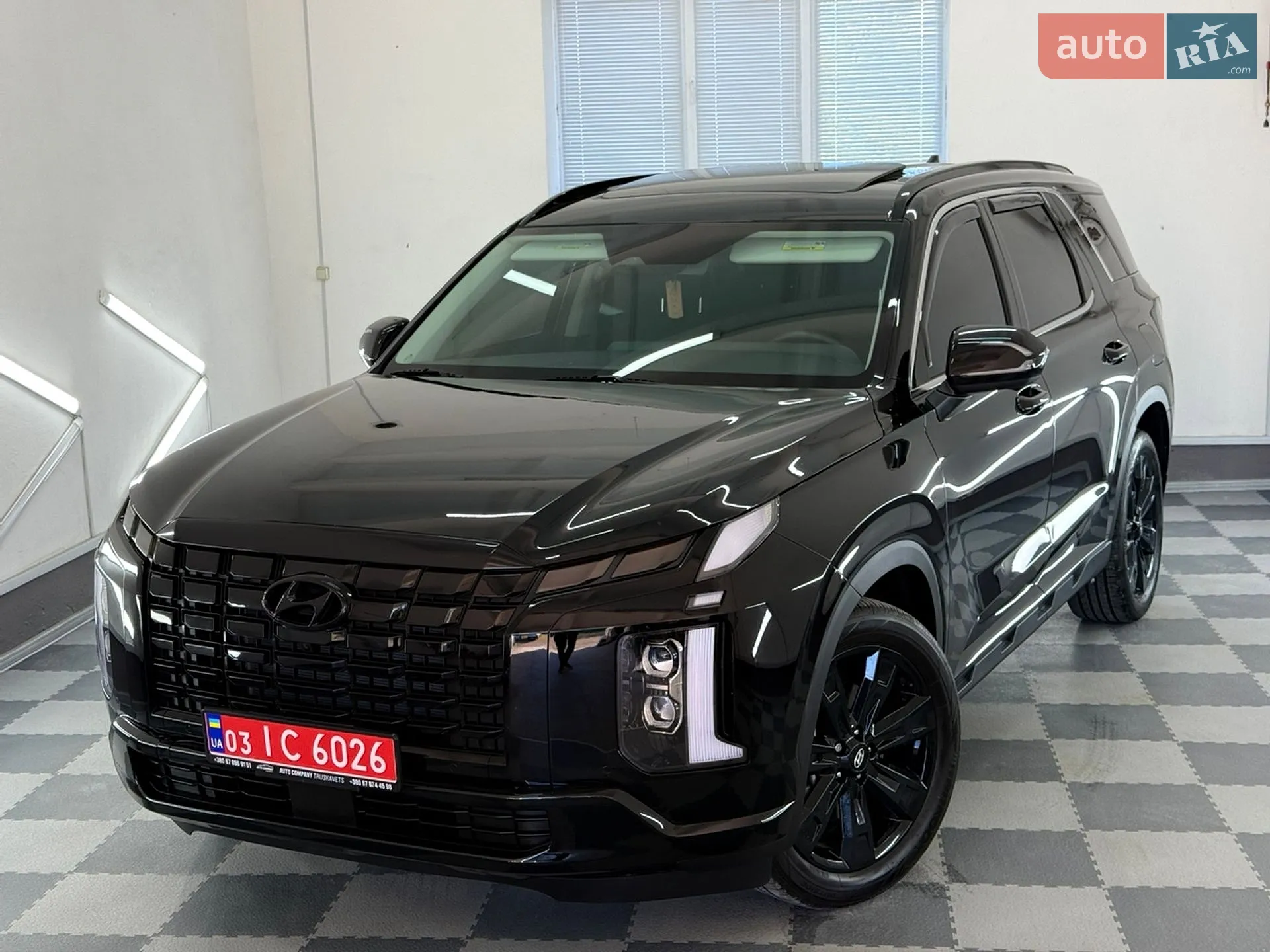 2025 Hyundai Palisade - мініатюра 76