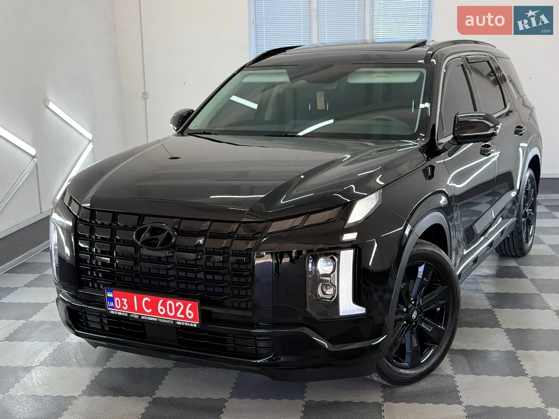 2025 Hyundai Palisade - мініатюра 81