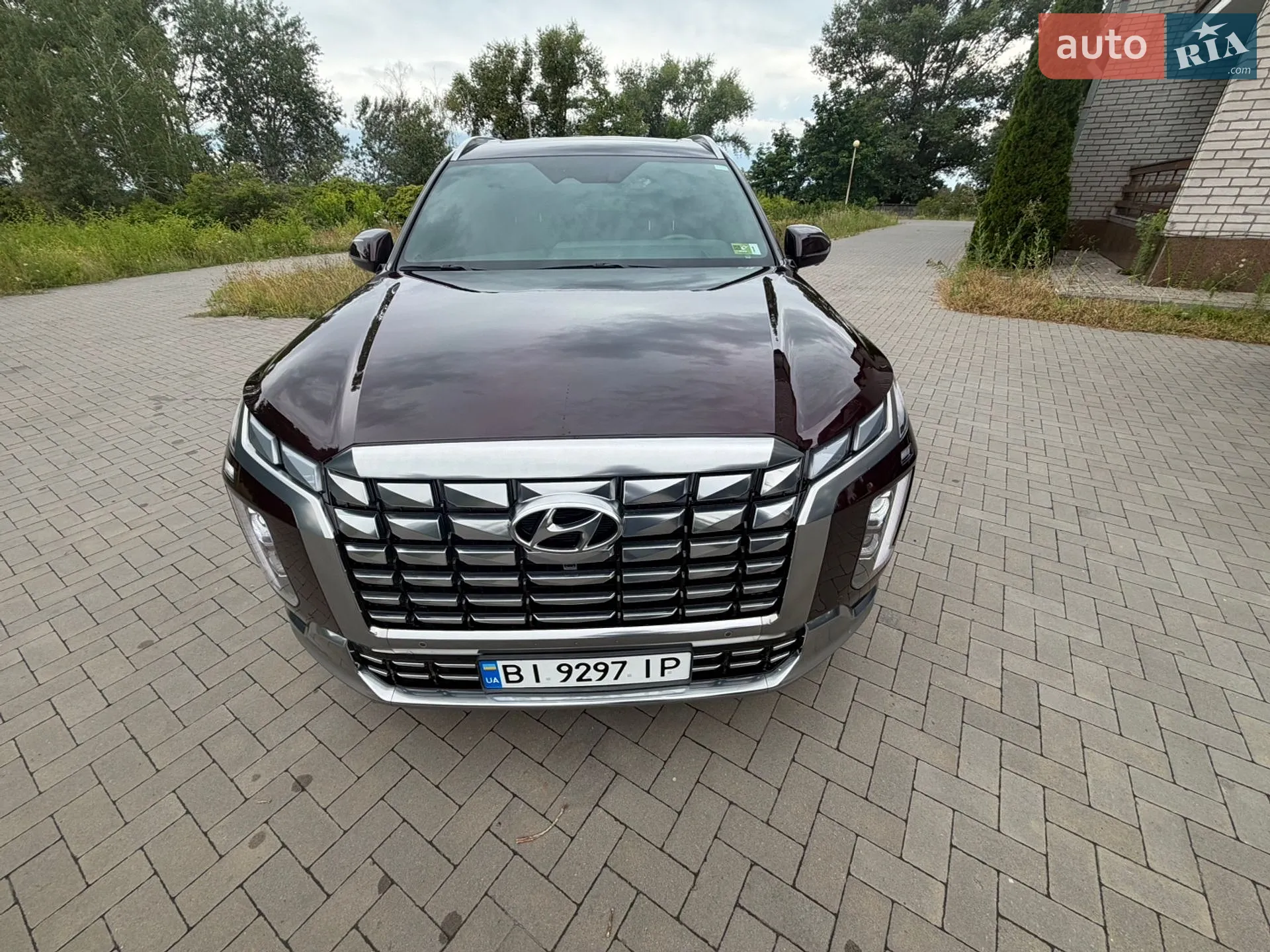 2023 Hyundai Palisade - мініатюра 53