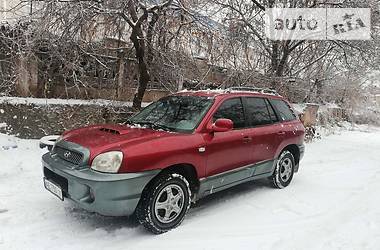 Внедорожник / Кроссовер Hyundai Santa FE 2002 в Кривом Роге