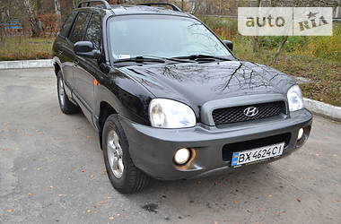 Внедорожник / Кроссовер Hyundai Santa FE 2004 в Шепетовке