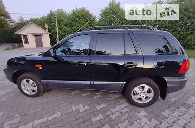 Внедорожник / Кроссовер Hyundai Santa FE 2004 в Луцке