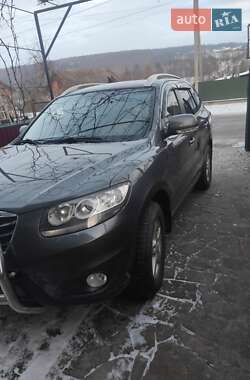 Внедорожник / Кроссовер Hyundai Santa FE 2009 в Бучаче