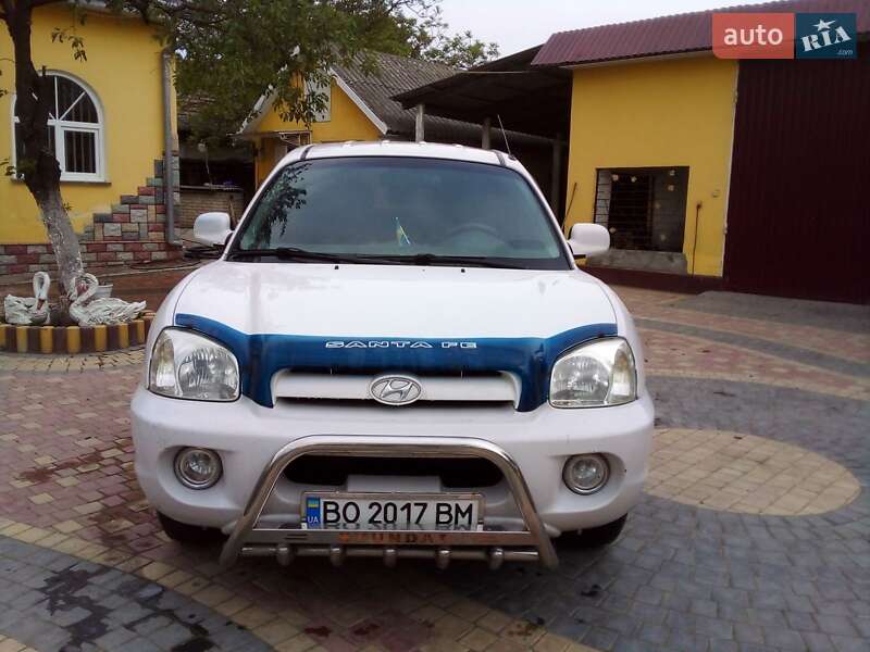 Внедорожник / Кроссовер Hyundai Santa FE 2006 в Тернополе фото 3 Внедорожник / Кроссовер Hyundai Santa FE 2006 в Тернополе