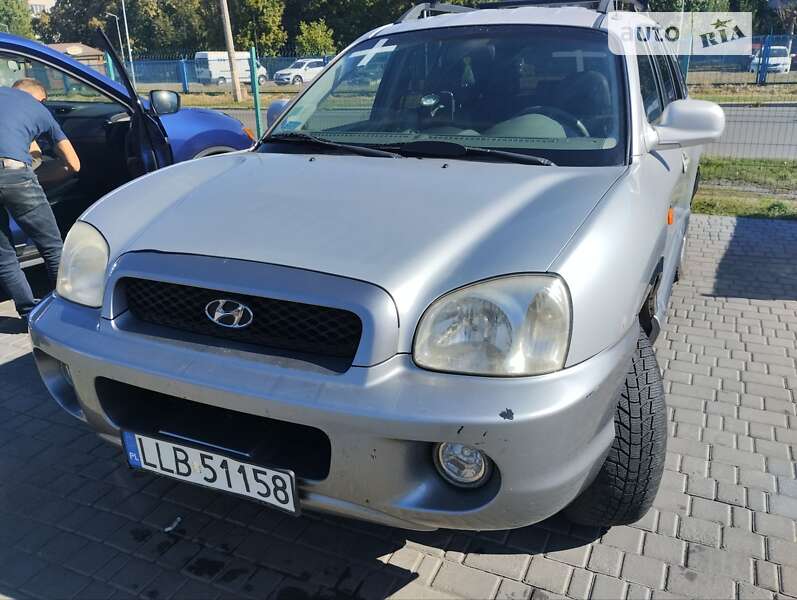 Внедорожник / Кроссовер Hyundai Santa FE 2003 в Доброполье
