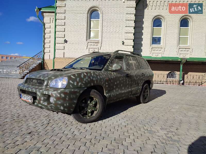 Позашляховик / Кросовер Hyundai Santa FE 2001 в Лимані фото 2 Позашляховик / Кросовер Hyundai Santa FE 2001 в Лимані