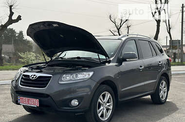 Внедорожник / Кроссовер Hyundai Santa FE 2010 в Радивилове