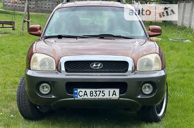 Внедорожник / Кроссовер Hyundai Santa FE 2002 в Черкассах