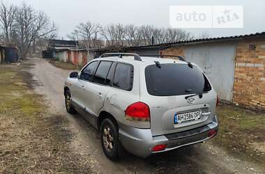 Внедорожник / Кроссовер Hyundai Santa FE 2006 в Днепре