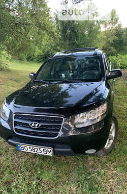 Внедорожник / Кроссовер Hyundai Santa FE 2008 в Чорткове