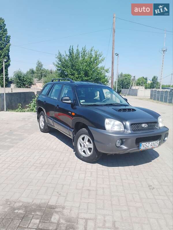 Внедорожник / Кроссовер Hyundai Santa FE 2003 в Днепре
