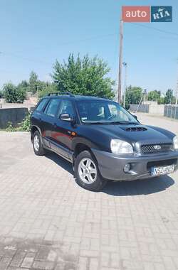 Внедорожник / Кроссовер Hyundai Santa FE 2003 в Днепре