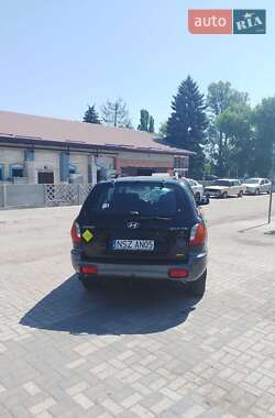 Внедорожник / Кроссовер Hyundai Santa FE 2003 в Днепре