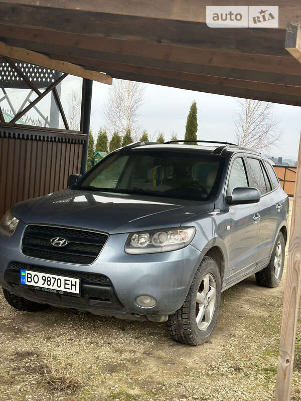 Внедорожник / Кроссовер Hyundai Santa FE 2006 в Збараже