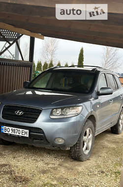 Внедорожник / Кроссовер Hyundai Santa FE 2006 в Збараже