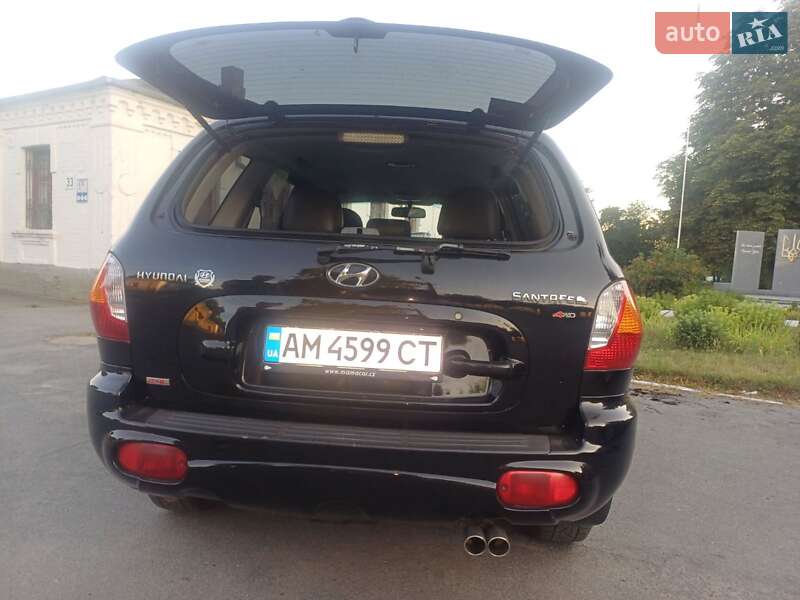 Позашляховик / Кросовер Hyundai Santa FE 2003 в Сквирі