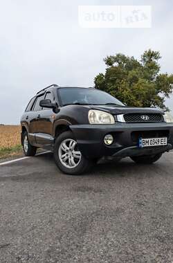 Внедорожник / Кроссовер Hyundai Santa FE 2004 в Ромнах