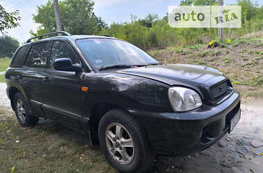 Позашляховик / Кросовер Hyundai Santa FE 2002 в Києві