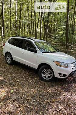 Позашляховик / Кросовер Hyundai Santa FE 2010 в Рівному