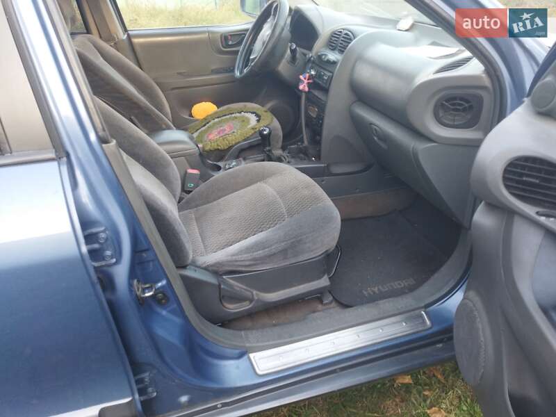 Внедорожник / Кроссовер Hyundai Santa FE 2002 в Городне