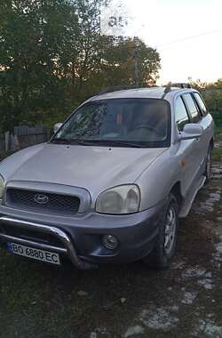 Внедорожник / Кроссовер Hyundai Santa FE 2002 в Тернополе