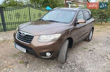 Позашляховик / Кросовер Hyundai Santa FE 2010 в Чернівцях