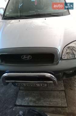 Позашляховик / Кросовер Hyundai Santa FE 2002 в Ямполі