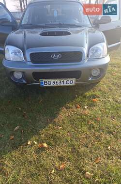 Внедорожник / Кроссовер Hyundai Santa FE 2003 в Подгайцах