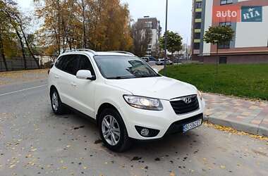 Позашляховик / Кросовер Hyundai Santa FE 2010 в Тернополі