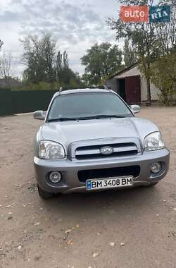 Внедорожник / Кроссовер Hyundai Santa FE 2006 в Киеве