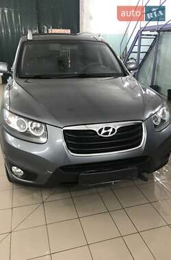 Позашляховик / Кросовер Hyundai Santa FE 2011 в Шостці