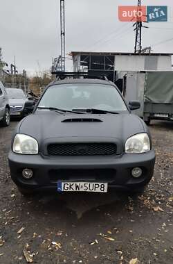 Внедорожник / Кроссовер Hyundai Santa FE 2003 в Запорожье