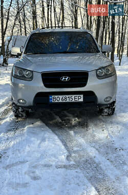 Позашляховик / Кросовер Hyundai Santa FE 2009 в Бережанах